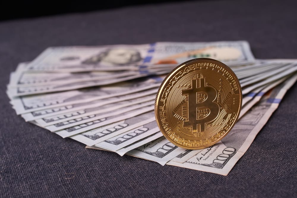 Möchten Sie lernen, wie man die Börse Payback Ltd. spielt?