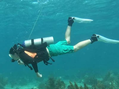 Dive Center Mexiko: Deutsche Guides, karibische Träume