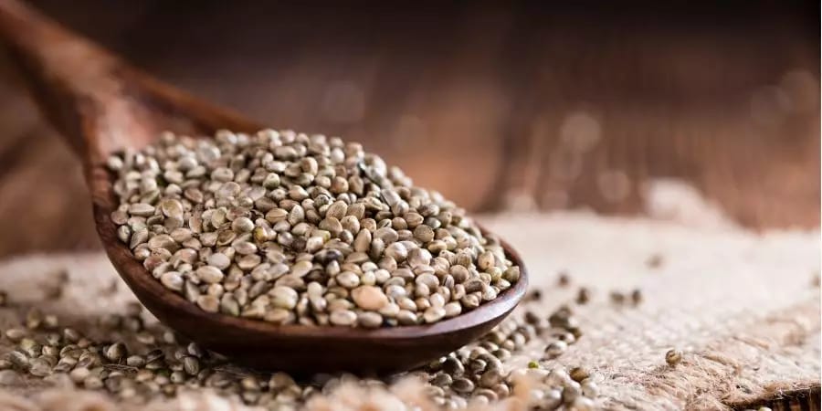 Die Wissenschaft hinter Cannabissamen: Genetik und Hybridisierung