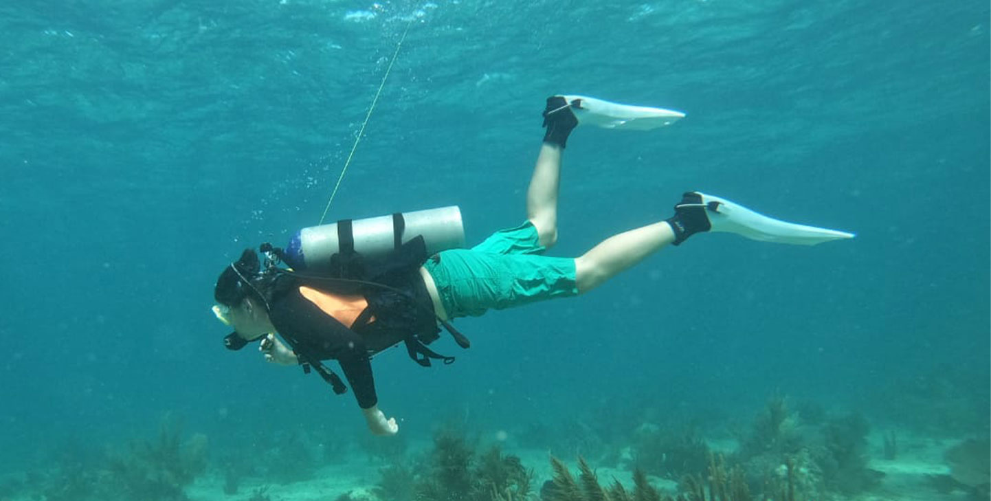 Dive Center Mexiko: Deutsche Guides, karibische Träume