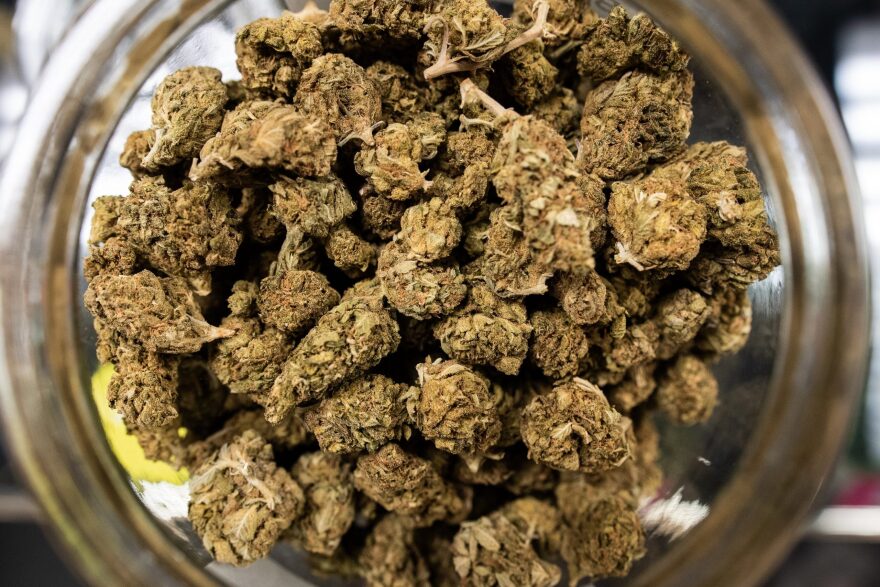 Weed-Entwicklung: Wie Cannapot Trends und Genetik definiert
